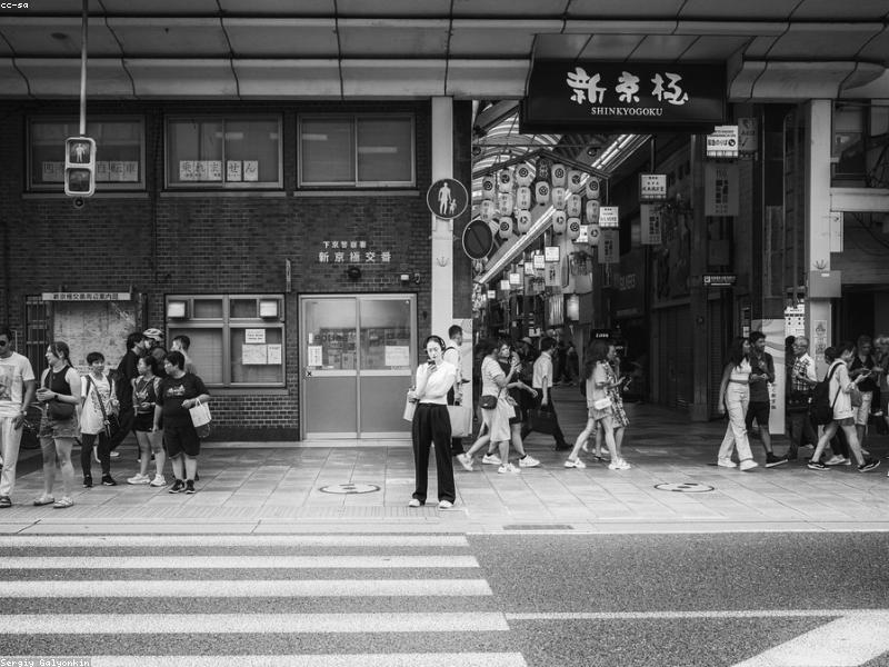 日本藤素與心血管風險示意圖