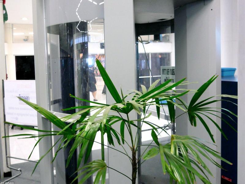 男性神經系統與射精控制示意圖